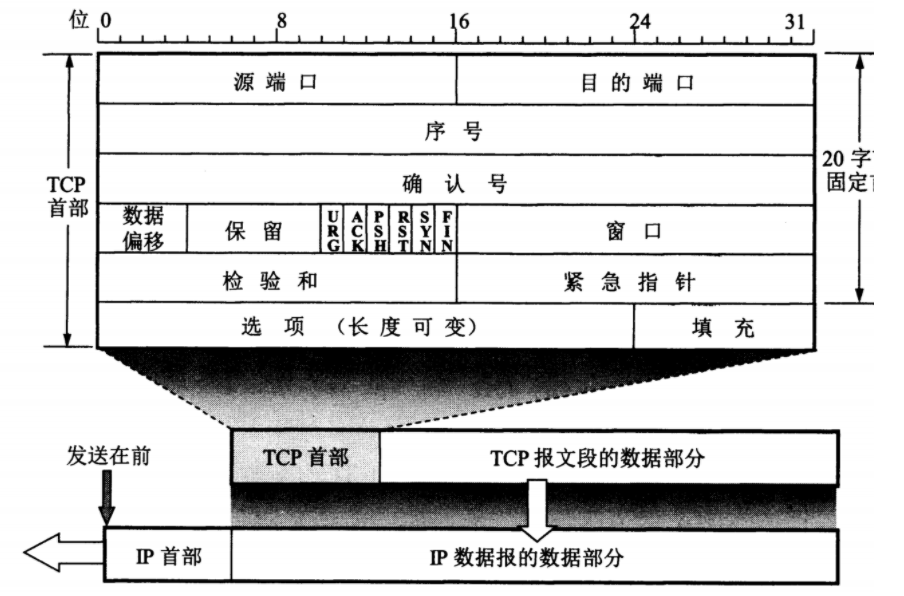 TCP 首部格式